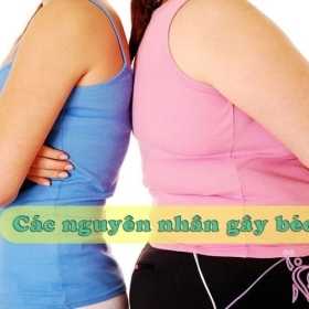 Các nguyên nhân gây béo và nguyên tắc giảm béo hiệu quả